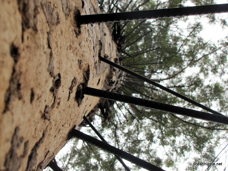 Thumbnail Photo